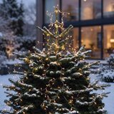 Brilagi LED Spoljašnje božićne lampice za jelku LED/1,6W/230V IP44 | Eponuda.com