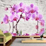  Tapeta - Purple Delight 250x175 Cijene