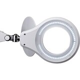 Maul LED-svetilka s povečevalnim steklom source, možnost zatemnitve, bele barve | Shoptok.si