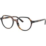 Ray-Ban Junior Junior Thalia RY9095V 3685 M (45) Havana/Kristalna | Shoptok.si