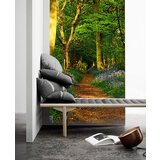  Fototapete + lepilo za tapete - DRVEĆE FTST009V152 (Popust) | Shoptok.si