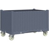  Cvetlično korito s kolesi sivo 80x50x54 cm PP | Shoptok.si