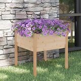 Maison Chic Vrtno cvetlično korito - Cvetlični Lonec 70x70x70 cm trdna borovina, (21788945) | Shoptok.si