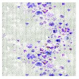 Conceptum Hypnose Eexfab433 multicolor carpet (80 x 120) | Eponuda.com