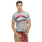 Superdry muška logo majica Cene