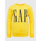 GAP Children's sweatshirt - Boys Cijene