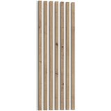 Gent stenski panel Skelpe SXPB05-M961, hrast Cene