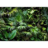 Artgeist Fototapeta Sunny Jungle, 150x105cm | Shoptok.si