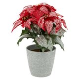 Atmosphera božićno drvo u saksiji 22 cm (169997) | ePonuda.com