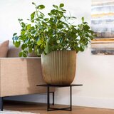 Capi Korito Groove 35x34 črna in zlata | Shoptok.si