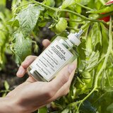 Maison Margiela REPLICA From the Garden toaletna voda za ženske 10 ml | Shoptok.si