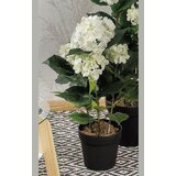  HORTENZIJA 71CM 50236 STAR Cijene