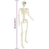 vidaXL Halloween Skelet Podesiva 2 pcs Bijelo 85 cm PVC | shoptok.hr