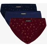 Atlantic Men's briefs 3Pack - multicolor