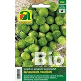 AUSTROSAAT Bio brstični ohrovt "Groninger" | Shoptok.si