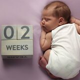Pearhead lesene kocke 60110 siva | Shoptok.si