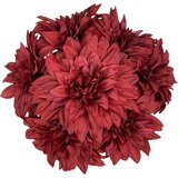 Royal De Ree Lukovica Georgina, dalija - Dahlia Dec. Red Rock 1/1 | ePonuda.com