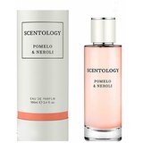 Scentology pomelo & neroli ženski parfem edp 100ml Cene