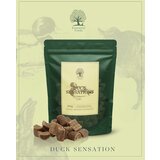 Essential Foods Essential poslastica za pse Duck 200g | Eponuda.com