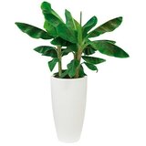 ELHO Okrugla tegla za biljke Pure Soft High (Vanjska dimenzija (ø x V): 39 x 70,1 cm, Bijele boje, Plastika) | shoptok.hr