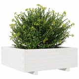  Vrtna sadilica bijela 70 x 70 x 26,5 cm od masivne borovine | shoptok.hr