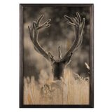 Wallity slika stag, 50 x 70 cm | ePonuda.com