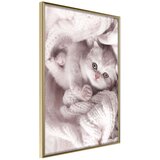  Poster - Tangled in Sweater 20x30 Cijene