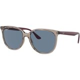 Ray-ban RB4378 65722V Polarized ONE SIZE (54) Siva/Modra Cene