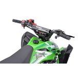 Beneo Otro&amp;scaron;ki &amp;scaron;tirikolesnik 125cc Motors ZXT zelena Slike