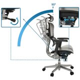 MID.YOU Pisarniški Stol Ergohuman, Temno Rjava | Shoptok.si