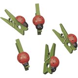  Kvačice drvene buba mara 2,5cm pk24 knorr prandell 21-8001537 blister Cene
