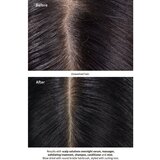 Aveda Scalp Solutions Balancing Shampoo pomirjujoči šampon za obnovo lasišča 1000 ml | Shoptok.si