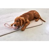 MiaCara Bež pamučna deka za pse 75x100 cm Onda Greige M – | shoptok.hr