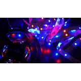 smart+ LED TRAKA Tuya WiFi 5 meters 150 lights | ePonuda.com