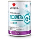 Disugual Disigual veterinarska dijeta za pse konzerva Recovery - Duck 400g | Eponuda.com