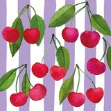 PPD Cherry & Stripes Napkin - 33 x 33 cm | Shoptok.si