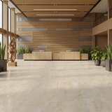 IZIDA vanjske podne pločice milestone beige 59,7 x 120,15 1KL 1,44 m2 | shoptok.hr