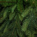  Novogodišnja jelka Swiss Premium 210cm KFB 141 | Eponuda.com