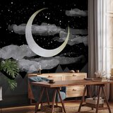  Foto tapeta - Night Glow 350x256 Premium | shoptok.hr