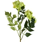 Umetna veja plastika Viridis Chryzantema 70cm zelena 3kos, (5000329541)
