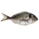  Orada 1kg Cene