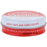 Vaseline Lip Therapy balzam za ustnice Rose and Almond Oil 20 g Cene