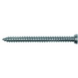 Fischer Vijak za prozorski okvir (152 mm, Ravna glava, Promjer provrta: 6 mm, 8 Kom.) Cijene