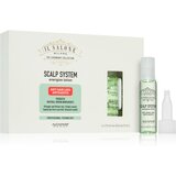ALFAPARF MILANO Il Salone Milano Scalp System energetski serum protiv gubitka kose 6x13 ml Cijene