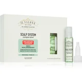 ALFAPARF MILANO Il Salone Milano Scalp System energetski serum protiv gubitka kose 6x13 ml