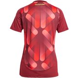 Adidas Dres 'Germany 25' rumena / rdeča / pastelno rdeča / temno rdeča | Shoptok.si