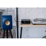 WIIM Amp Ultra sivi avdio predvajalnik. | Shoptok.si