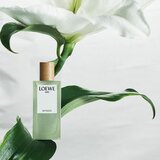 Loewe Miniature Set poklon set uniseks | shoptok.hr