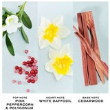 Parfem Toaletna voda Perfect Eau de Toilette 50 ml | Shoptok.si