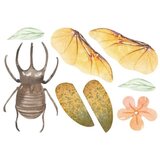 Avenir ustvarjalni set za izdelavo nakita | Shoptok.si